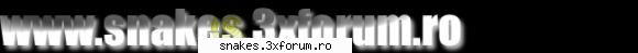 banner banner realizat 4d.one (imagine gif)click pentru marii